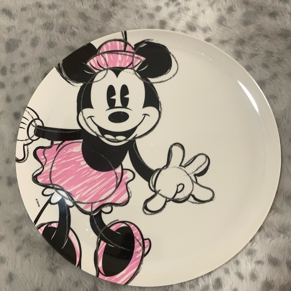Zak Micky and Minnie plates